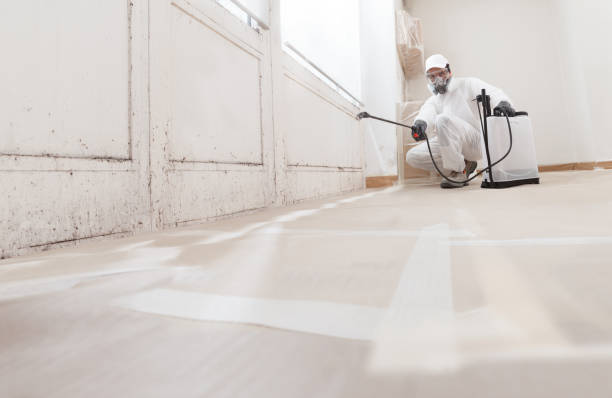 24/7 Emergency Black Mold Remediation experts in Dania, FL